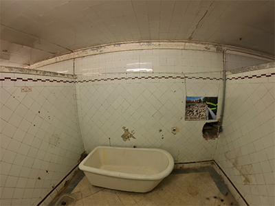 Pisa Bagni Cobianchi