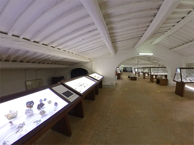 Calci Museo Storia Naturale