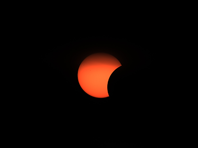 Pisa eclissi sole