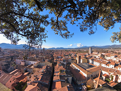 Lucca Torre Guinigi