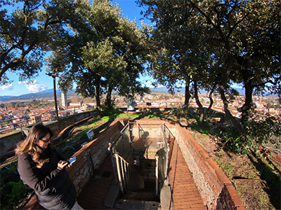 Lucca Torre Guinigi