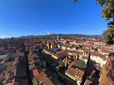 Lucca Torre Guinigi