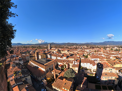 Lucca Torre Guinigi