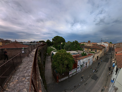Pisa mura