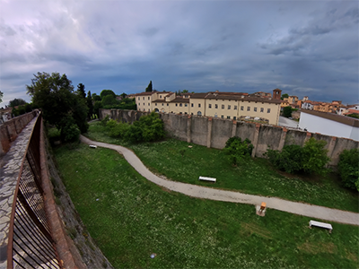 Pisa mura