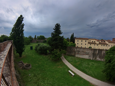 Pisa mura