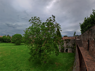 Pisa mura