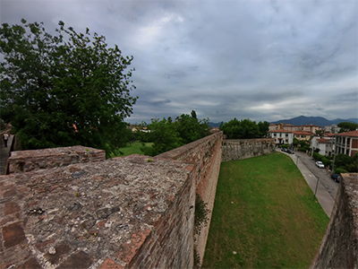 Pisa mura