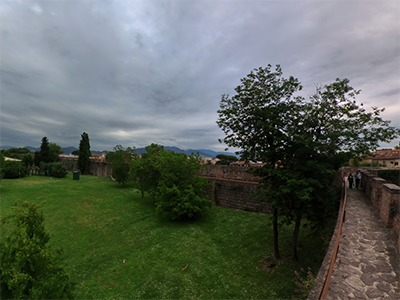 Pisa mura