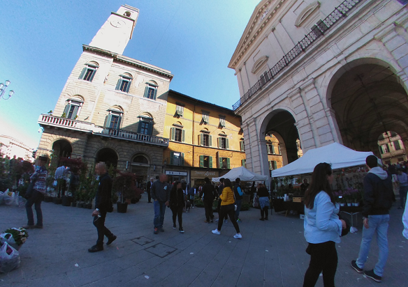 Pisa in Fiore