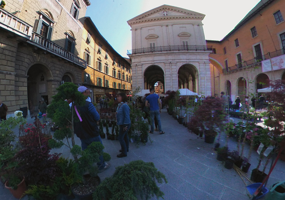 Pisa in Fiore