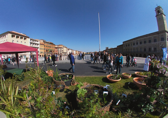 Pisa in Fiore