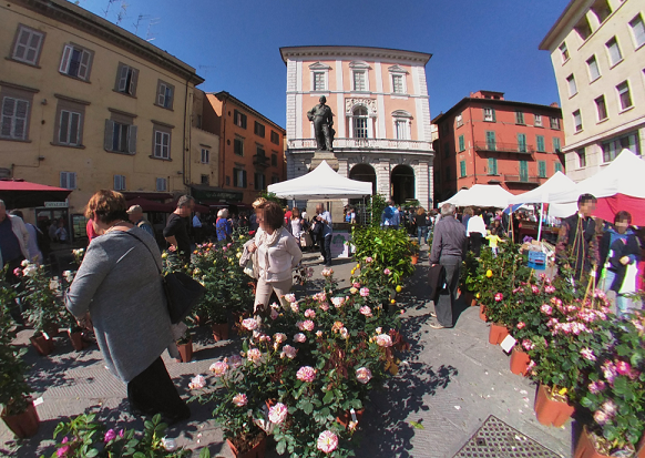 Pisa in Fiore