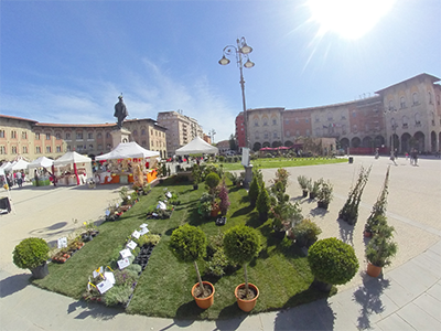 Pisa in Fiore