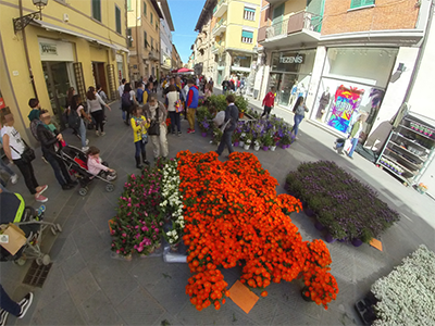 Pisa in Fiore