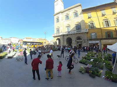 Pisa in Fiore