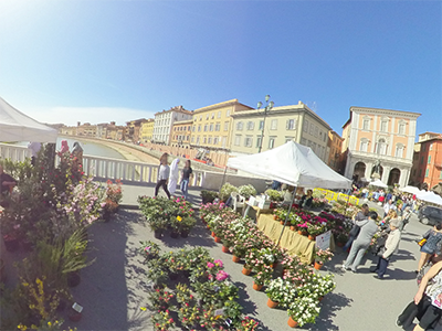 Pisa in Fiore