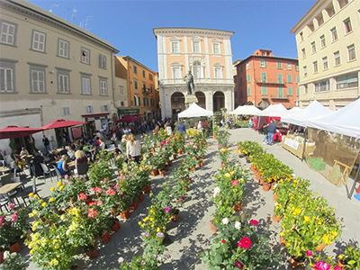 Pisa in Fiore