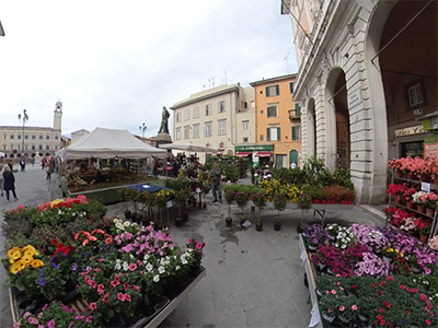 Pisa in Fiore