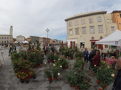 Pisa in Fiore