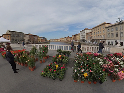 Pisa in Fiore