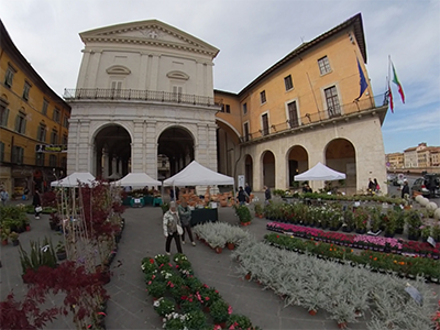 Pisa in Fiore