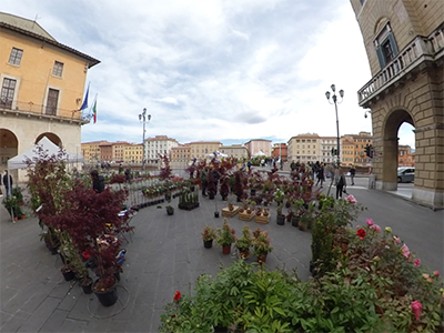 Pisa in Fiore