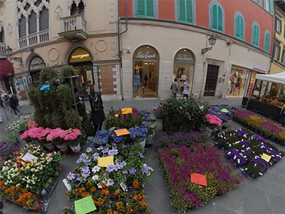 Pisa in Fiore