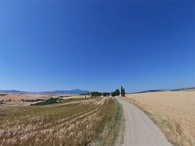 Siena Cipressi Gladiatore