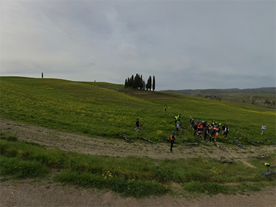 Siena Cipressi San Quirico